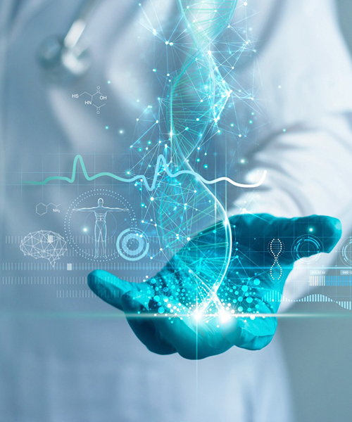 Mano humana sosteniendo gráficos digitales